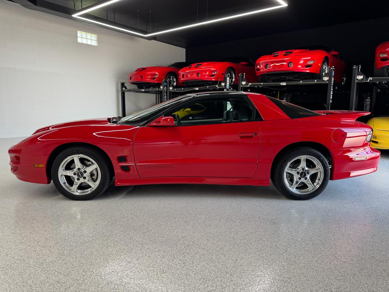 Pontiac Firebird Trans Am WS6 1998