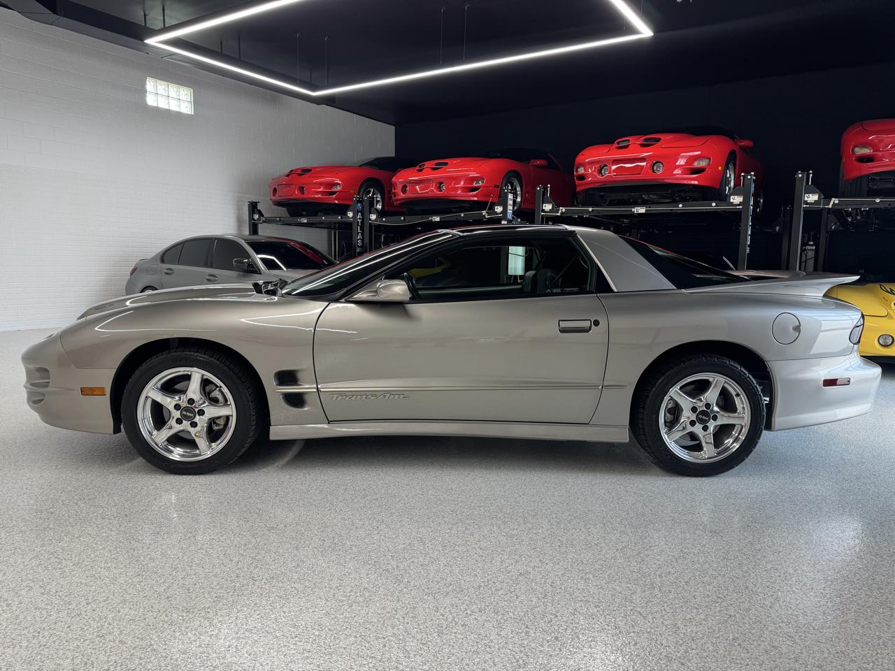 Pontiac Firebird Trans Am WS6 2000