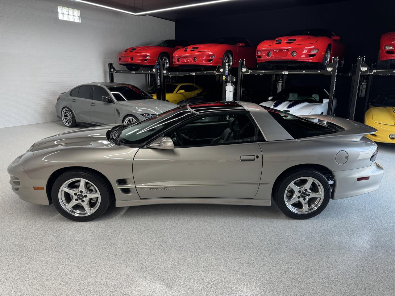 Pontiac Firebird Trans Am WS6 2000
