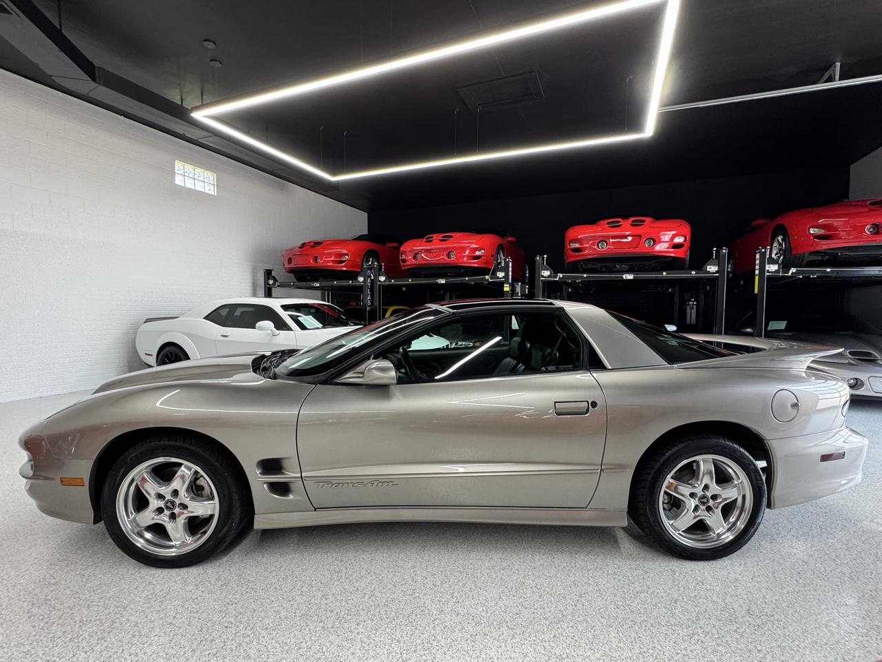 Pontiac Firebird Trans Am WS6 2002