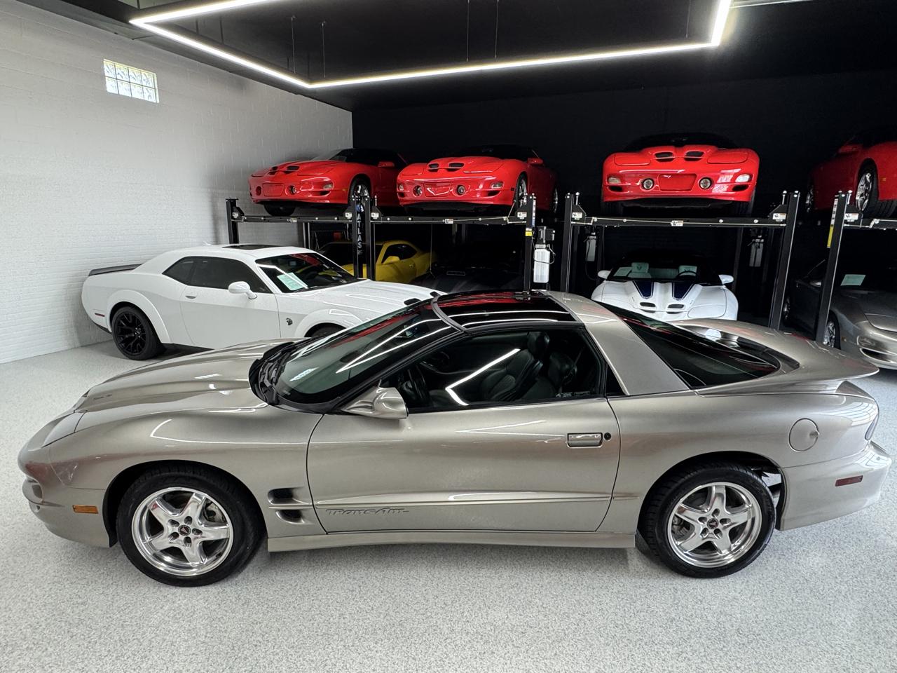 Pontiac Firebird Trans Am WS6 2002