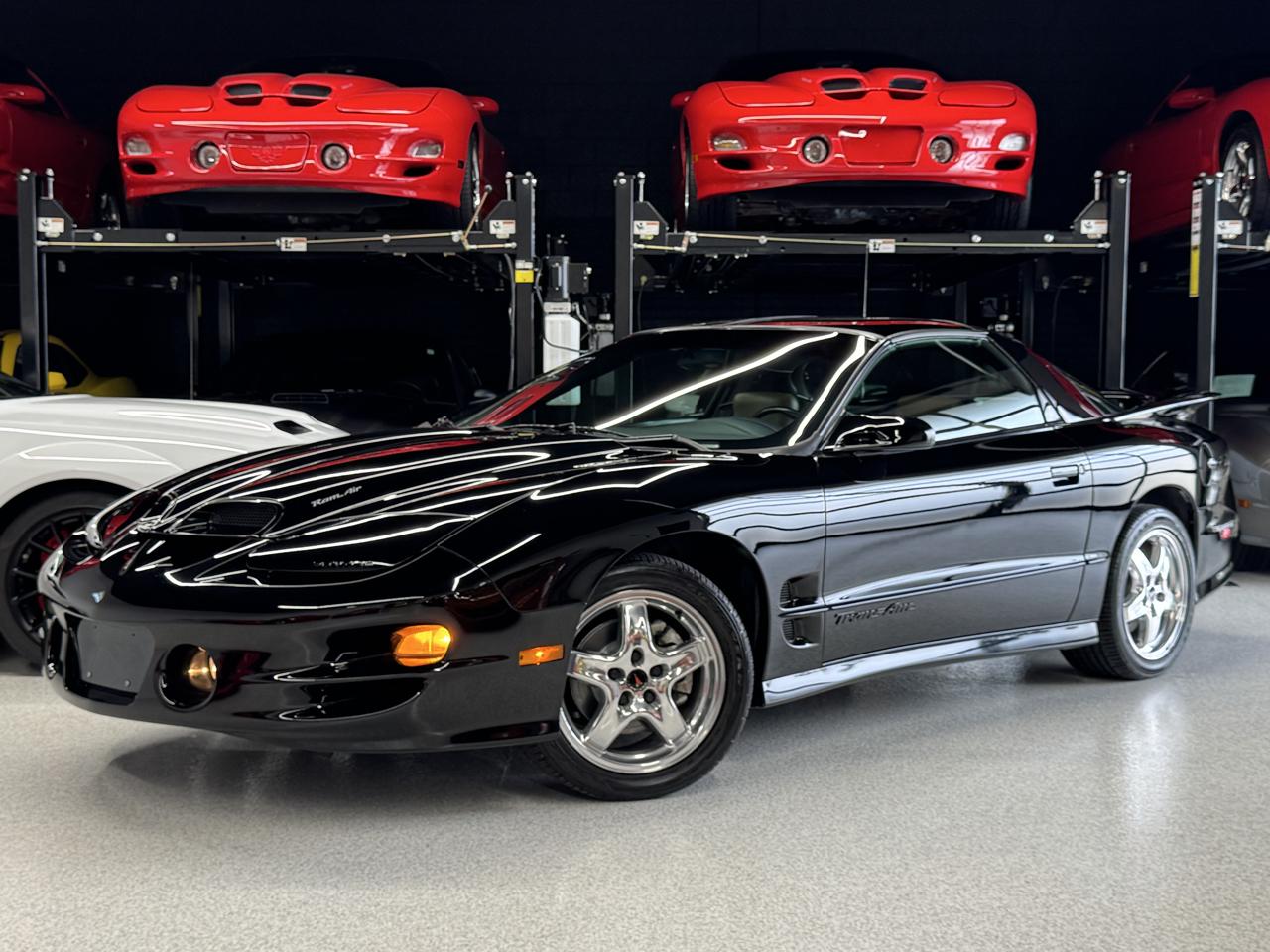 Pontiac Firebird Trans Am WS6 2002