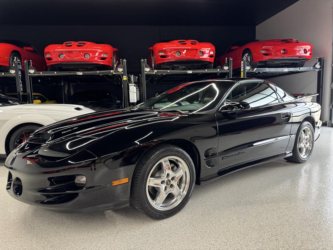 Pontiac Firebird Trans Am WS6 2002
