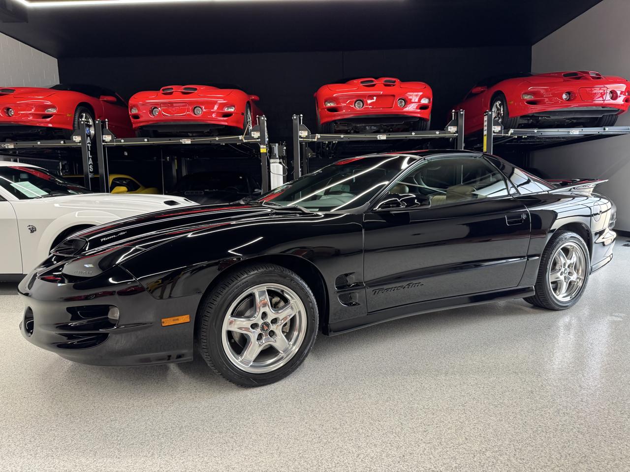 Pontiac Firebird Trans Am WS6 2002
