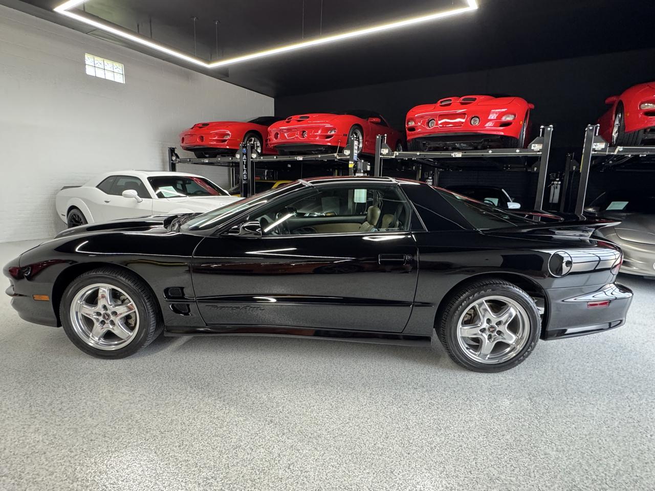 Pontiac Firebird Trans Am WS6 2002