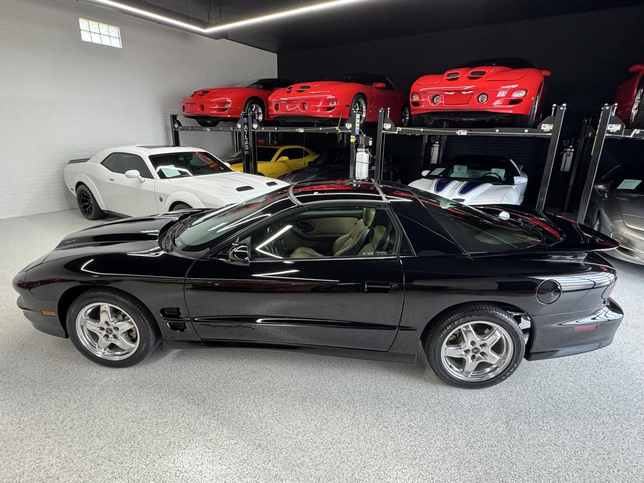 Pontiac Firebird Trans Am WS6 2002
