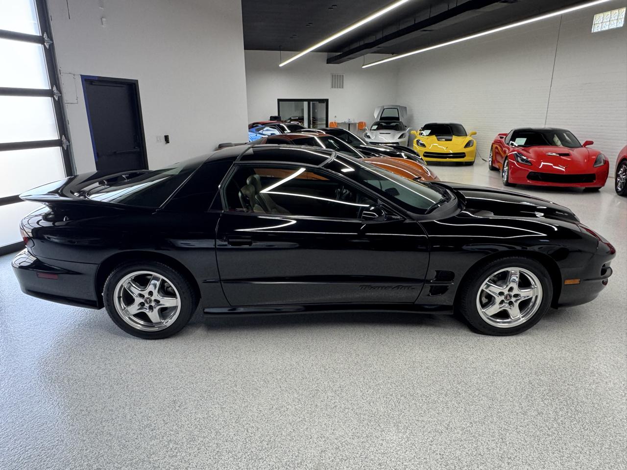Pontiac Firebird Trans Am WS6 2002