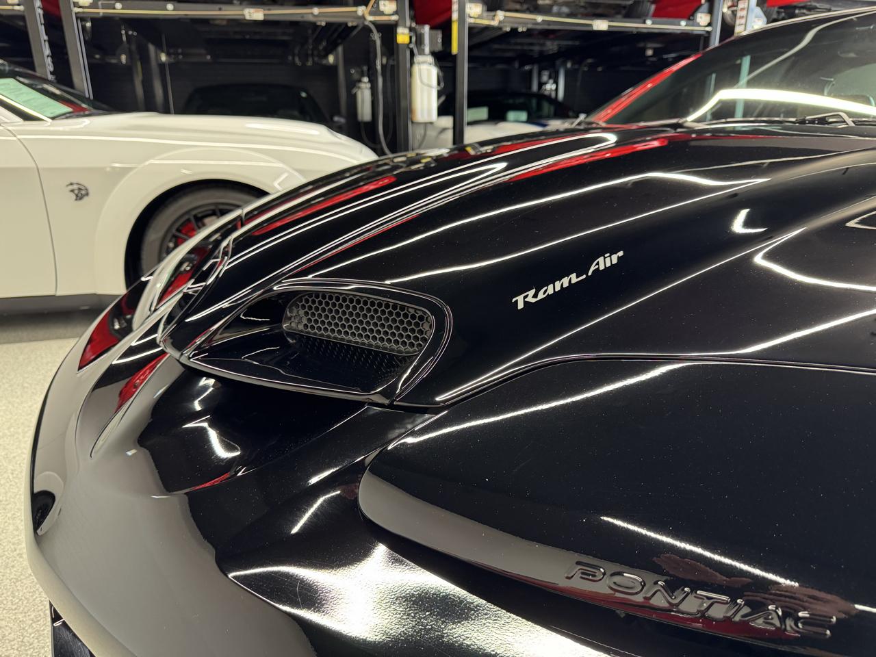 Pontiac Firebird Trans Am WS6 2002