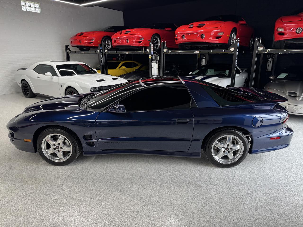 Pontiac Firebird Trans Am WS6 2001