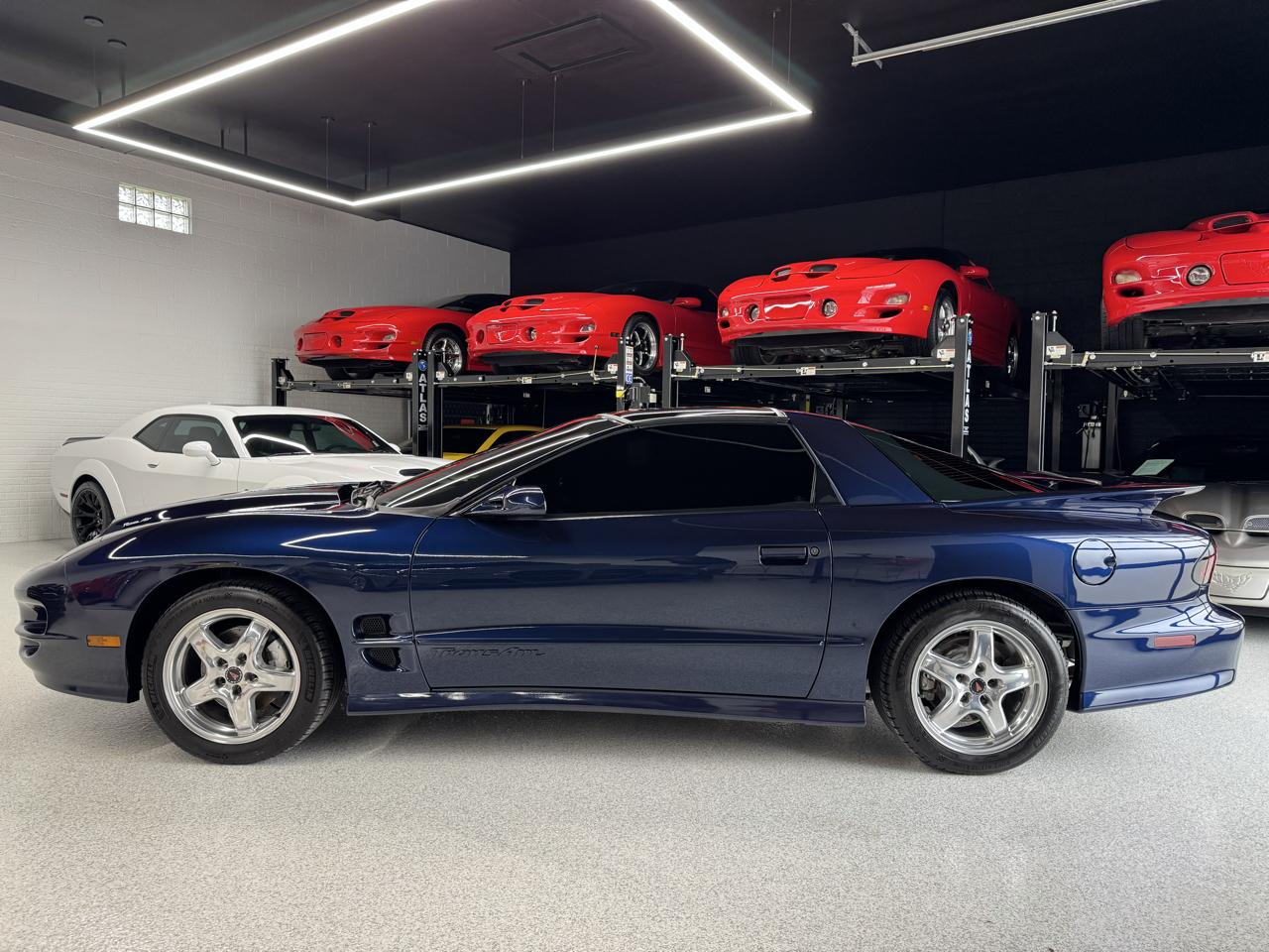 Pontiac Firebird Trans Am WS6 2001