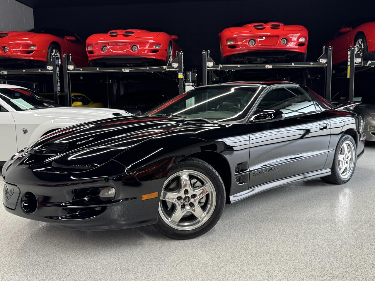 Pontiac Firebird Trans Am WS6 2002