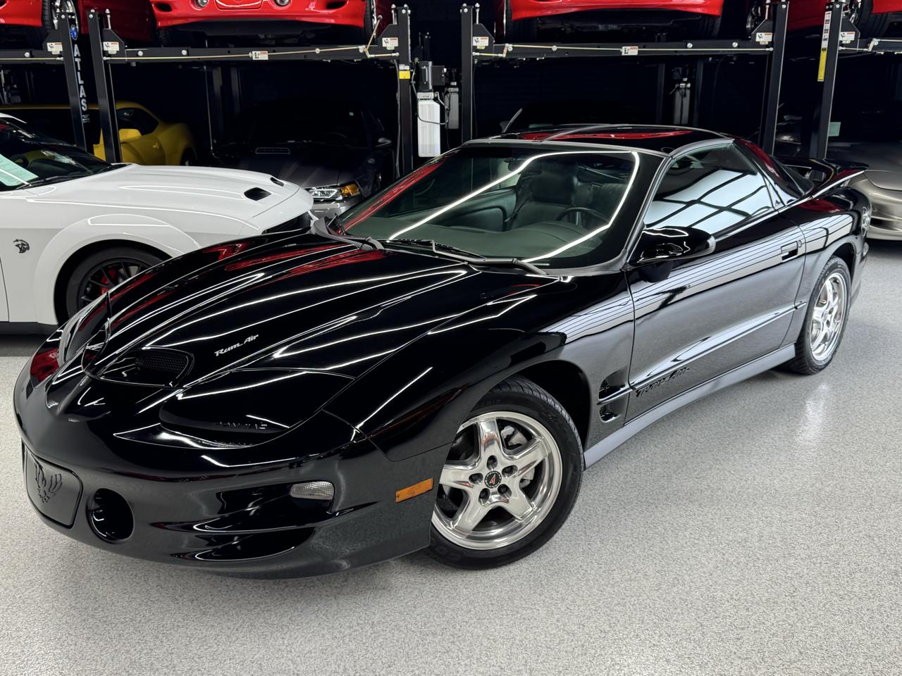 Pontiac Firebird Trans Am WS6 2002