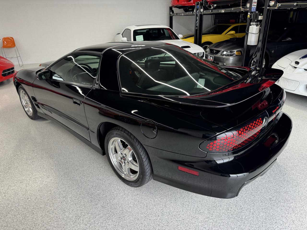 Pontiac Firebird Trans Am WS6 2002