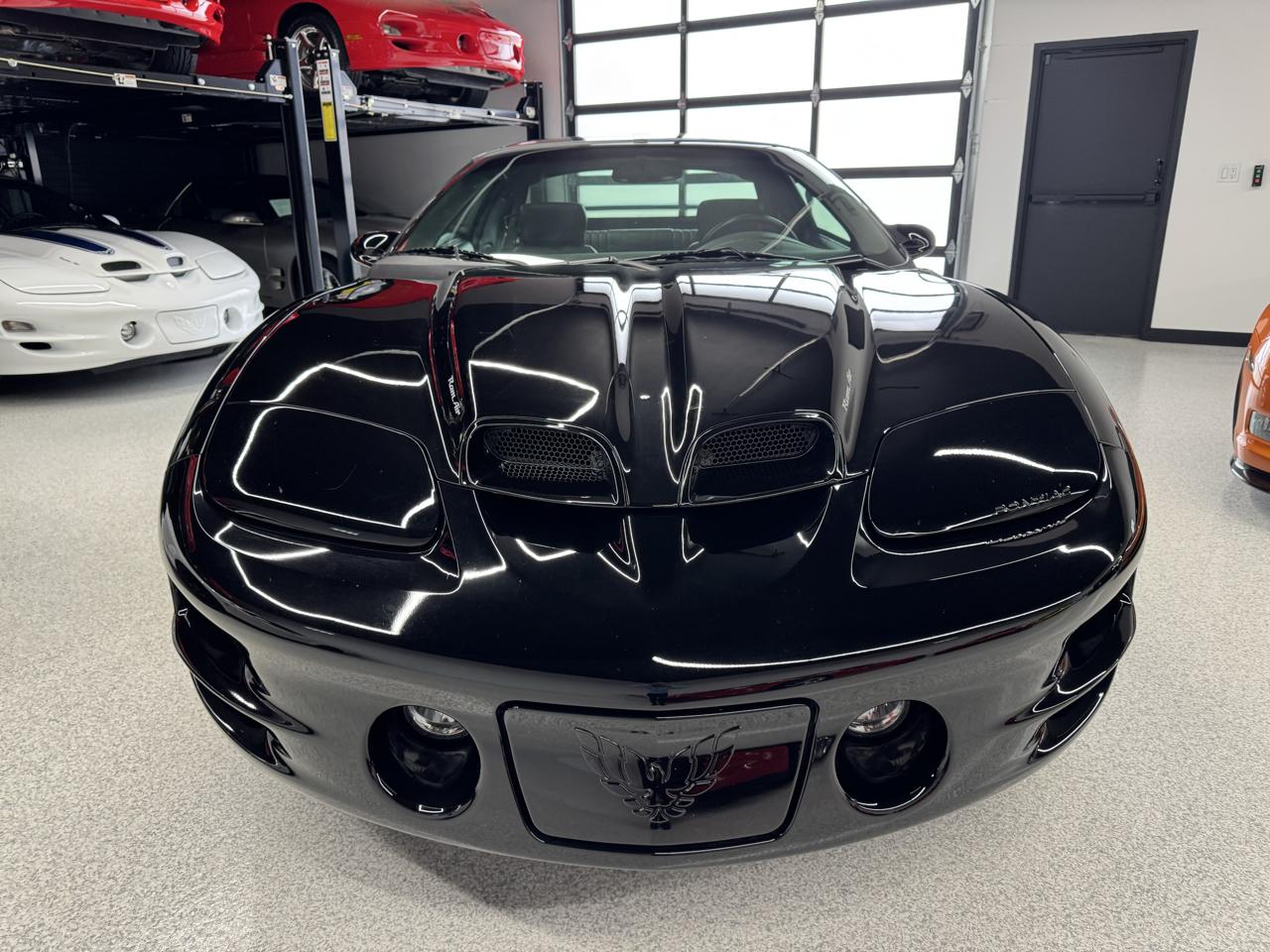 Pontiac Firebird Trans Am WS6 2002