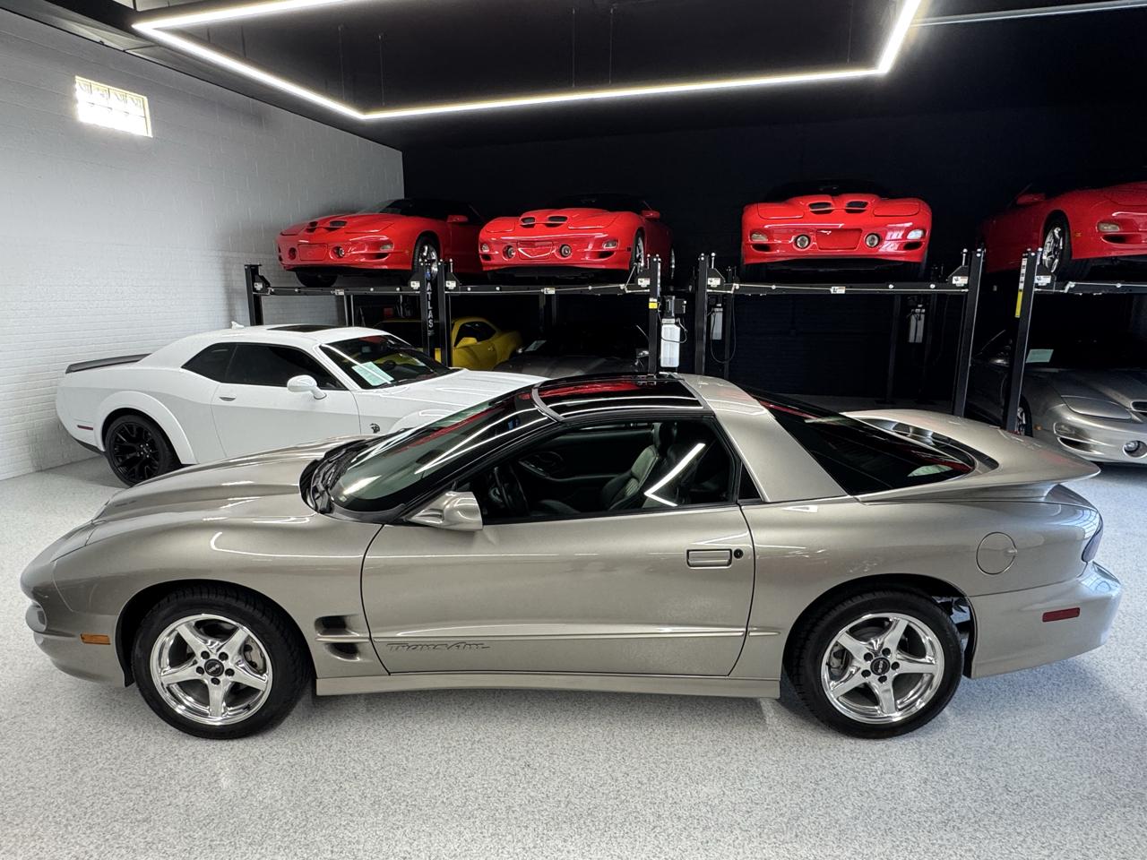 Pontiac Firebird Trans Am WS6 2000
