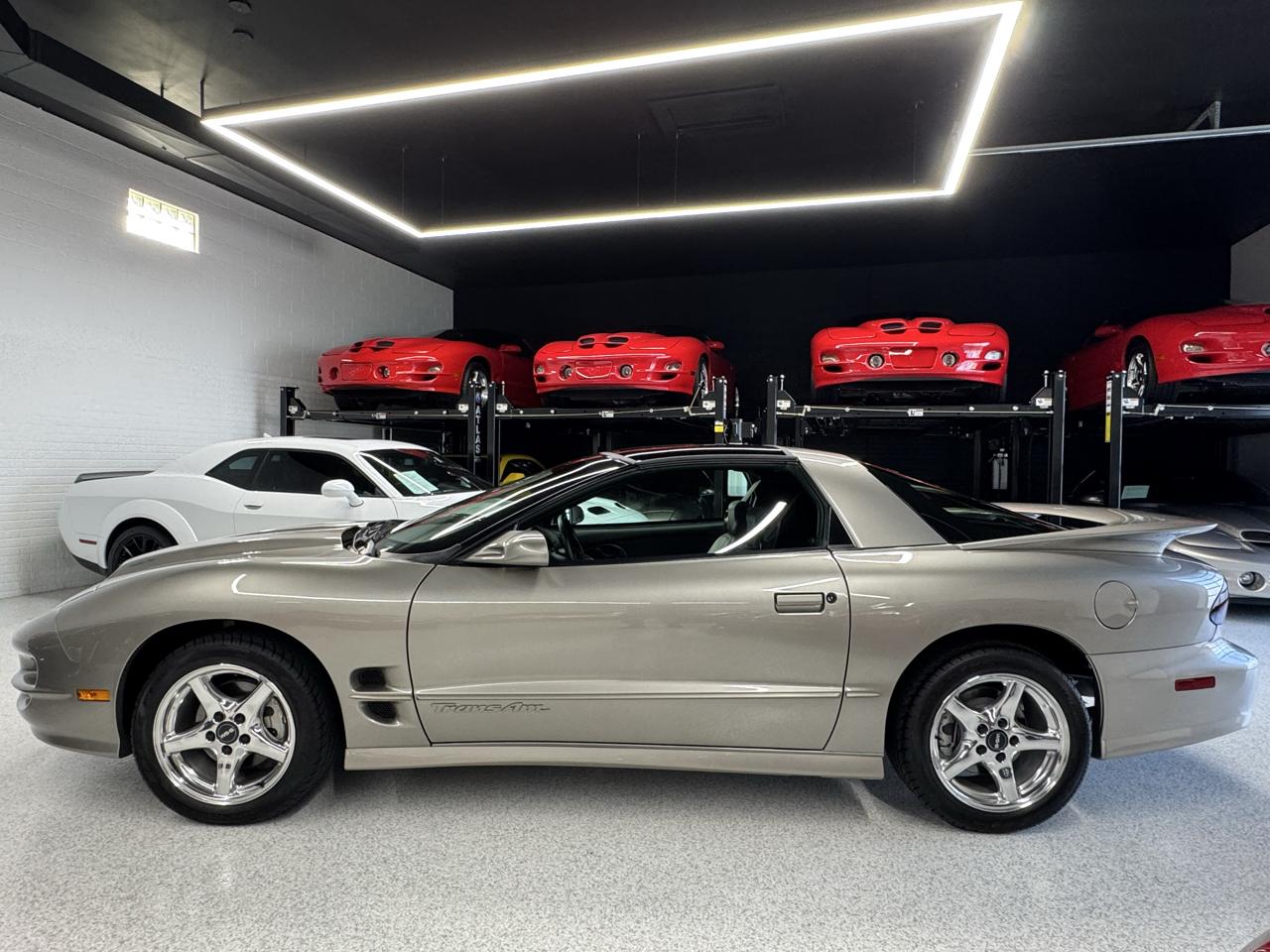 Pontiac Firebird Trans Am WS6 2000