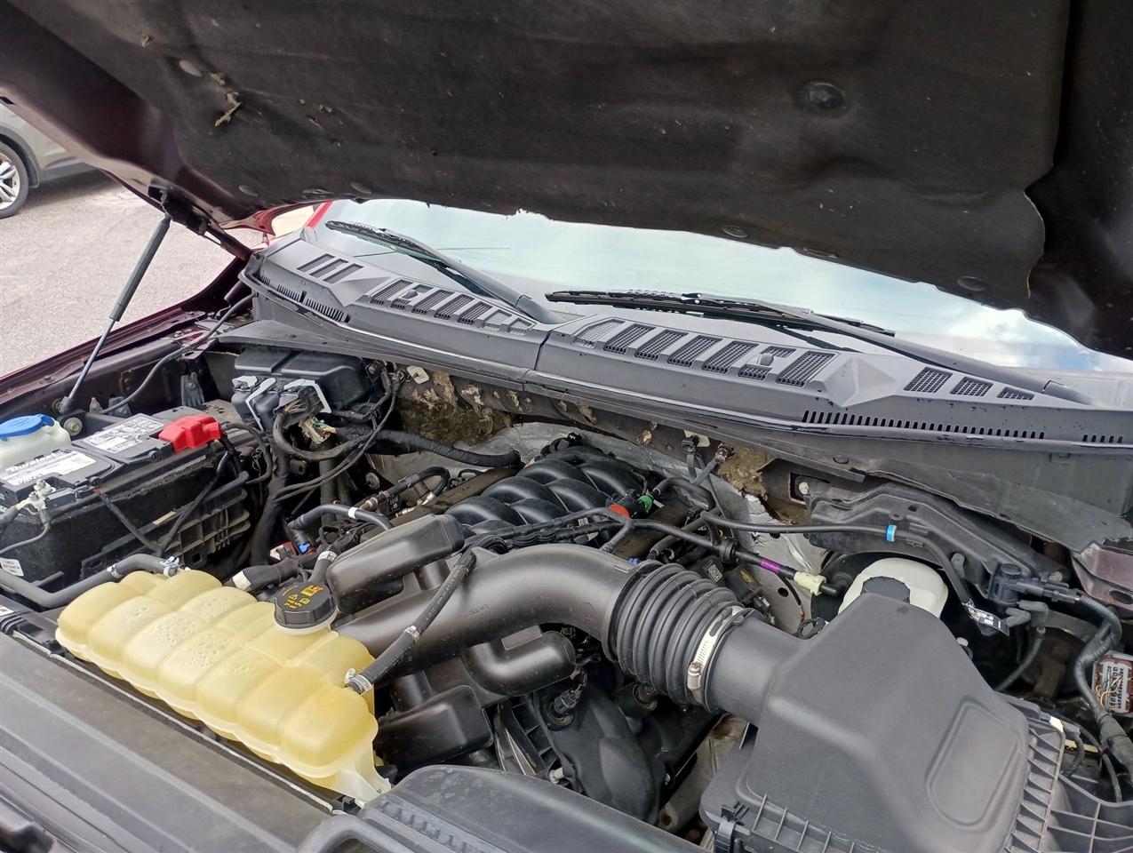 Ford F-150  2020