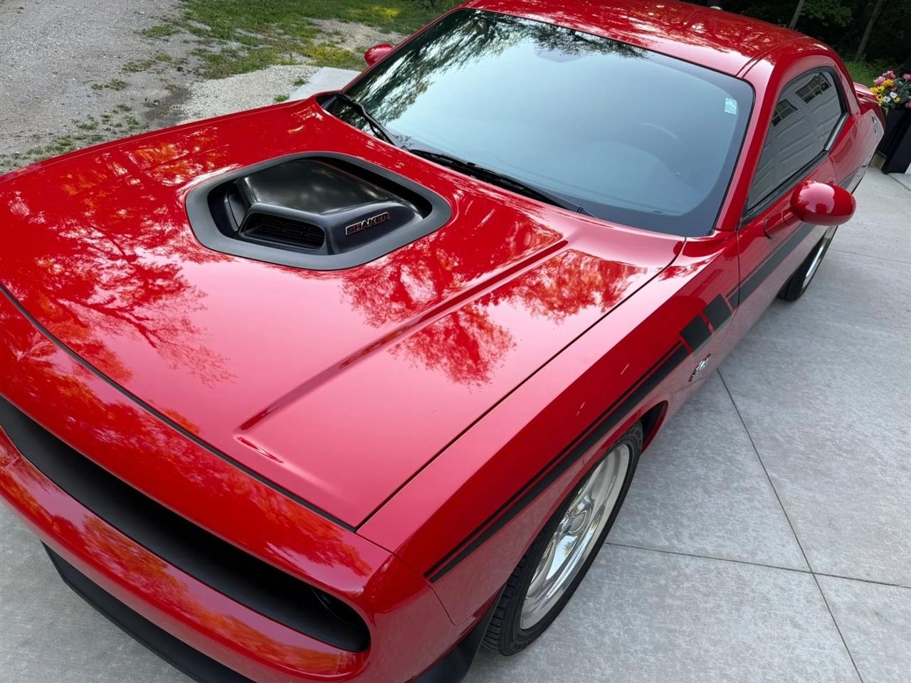 Dodge Challenger  2019