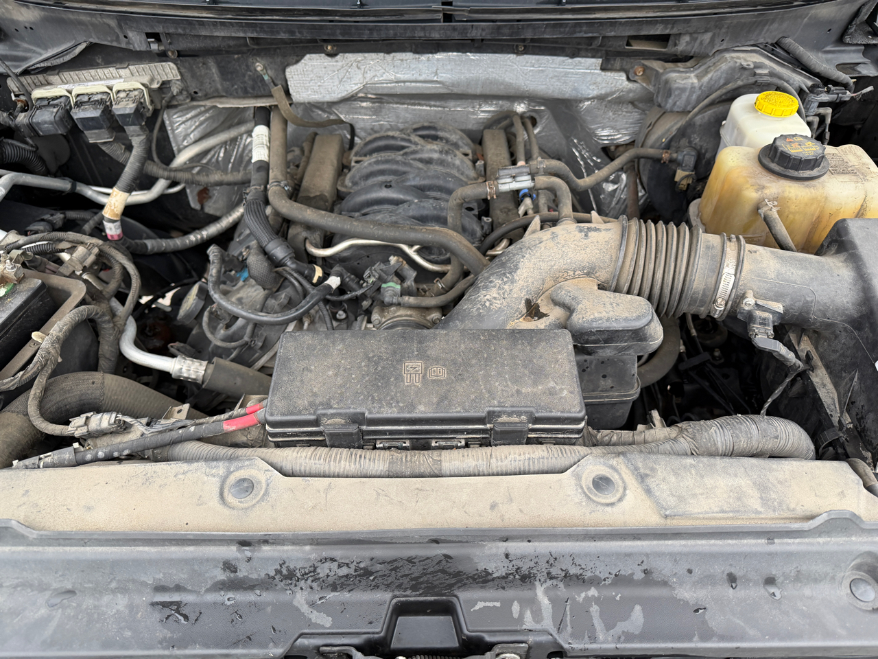 Ford F-150 2WD SuperCab 145" XLT 2014