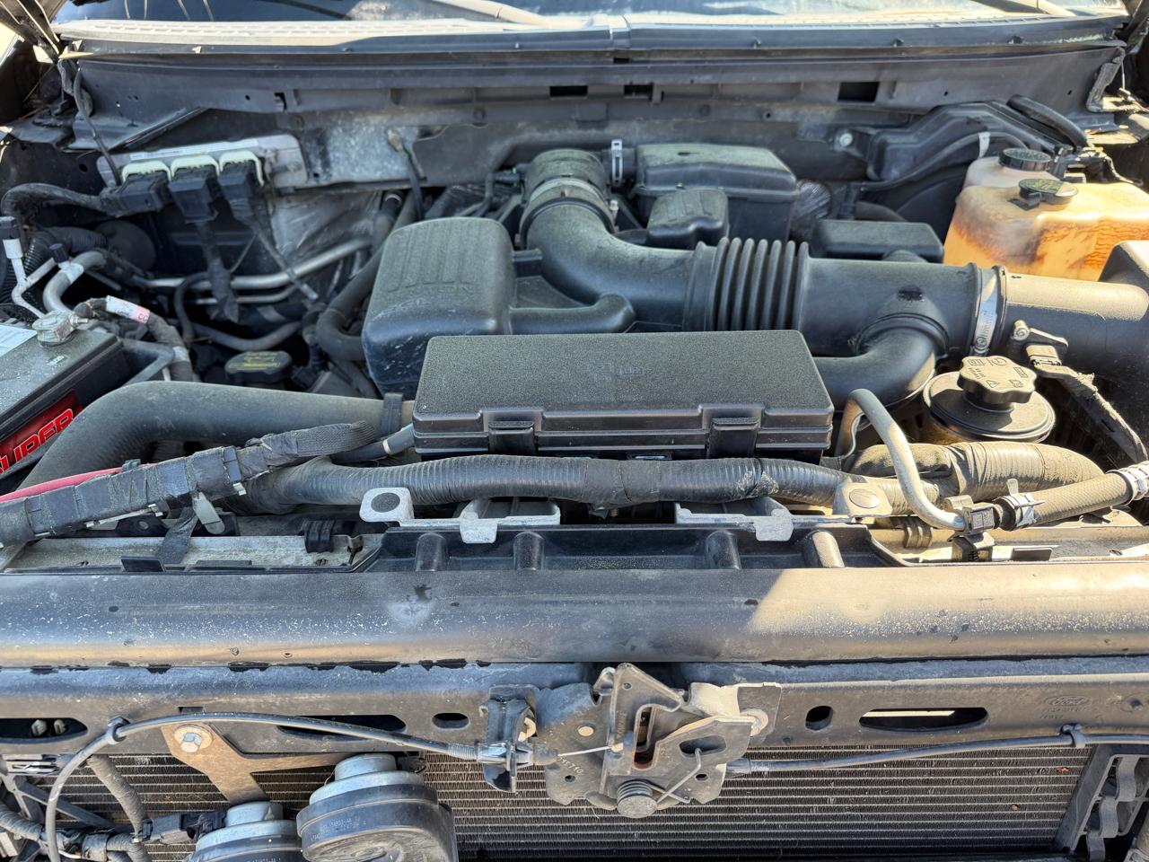 Ford F-150 4WD Reg Cab 145" XLT 2010