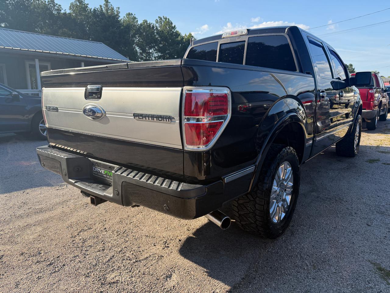 Ford F-150 4WD SuperCrew 145" Platinum 2014