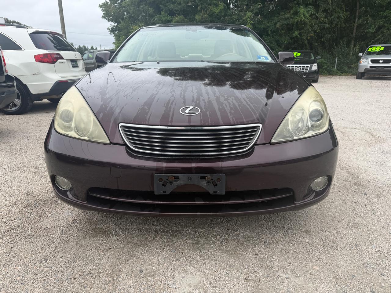 Lexus ES 330 Sedan 2005