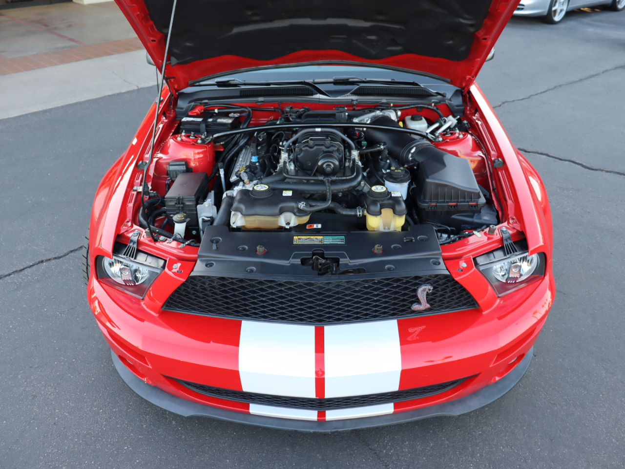 Ford Shelby GT500 Coupe 2008