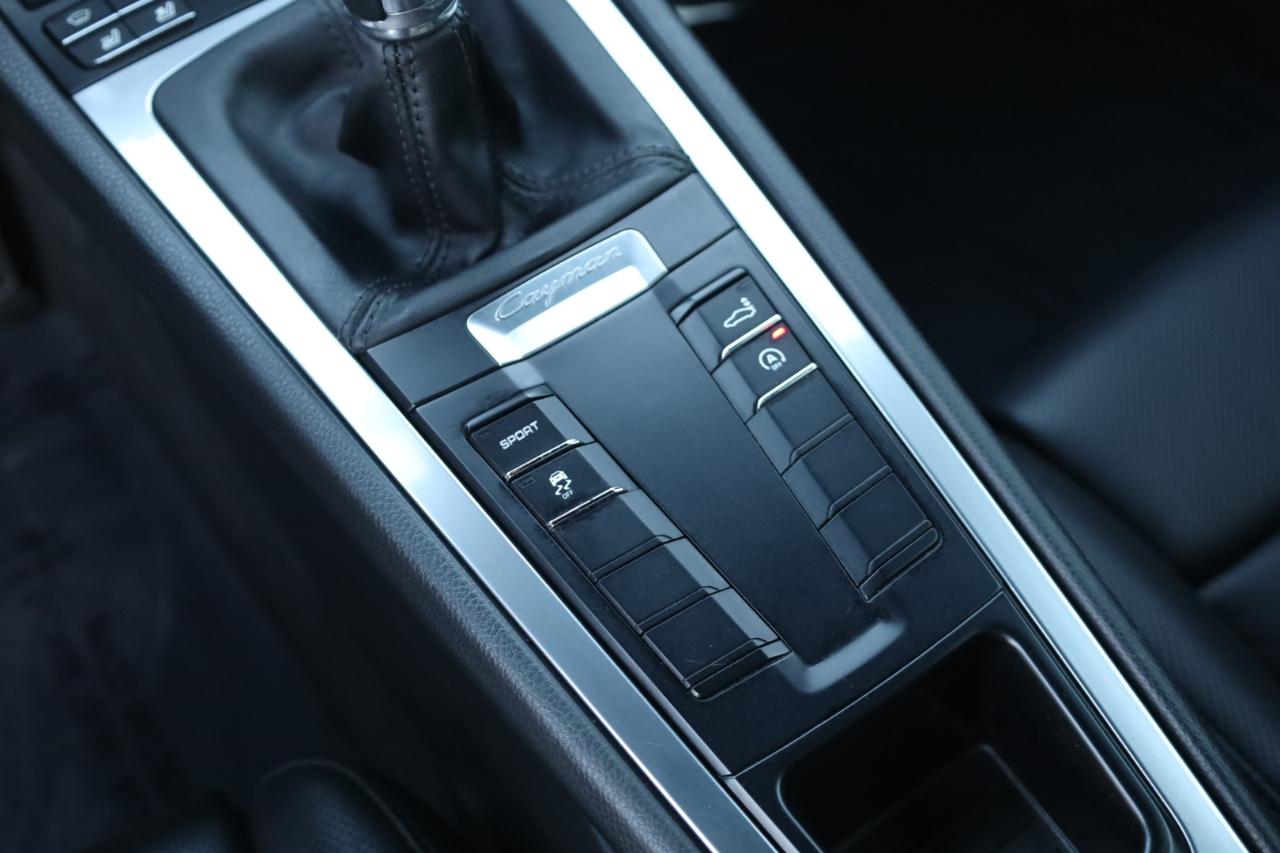 Porsche Cayman Coupe 2014