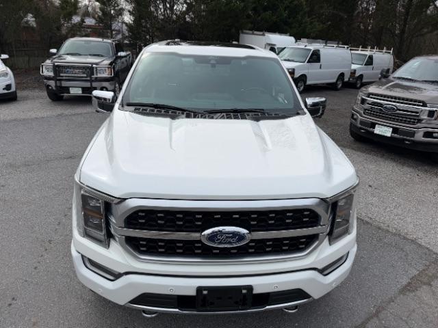 Ford F-150 Platinum SuperCrew 5.5-ft. Bed 4WD 2021