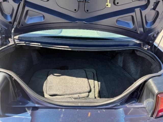 Ford Mustang Deluxe Coupe 2002