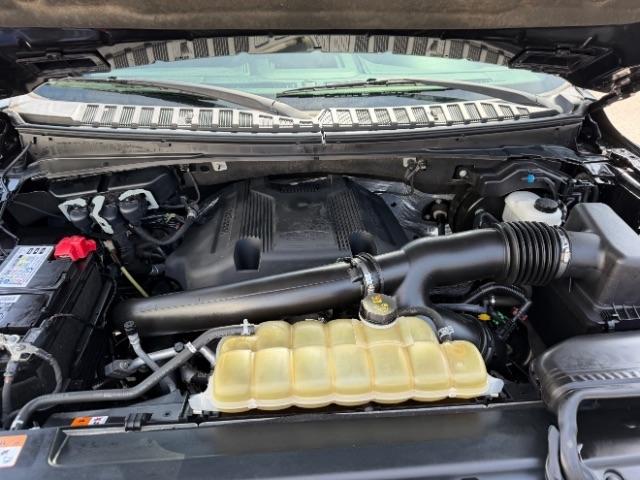 Ford Expedition XLT 4WD 2020