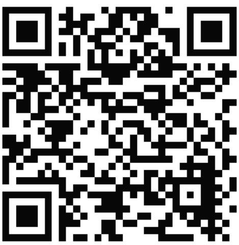 Ford Expedition XLT 4WD 2020