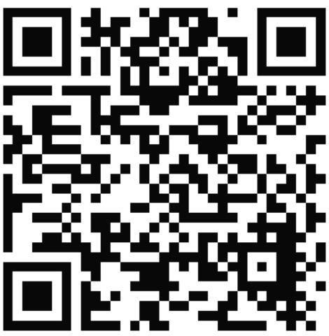 Ford Flex SEL FWD 2019