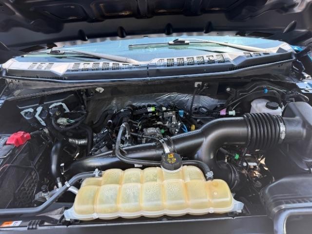 Ford F-150 XL SuperCrew 6.5-ft. Bed 4WD 2020