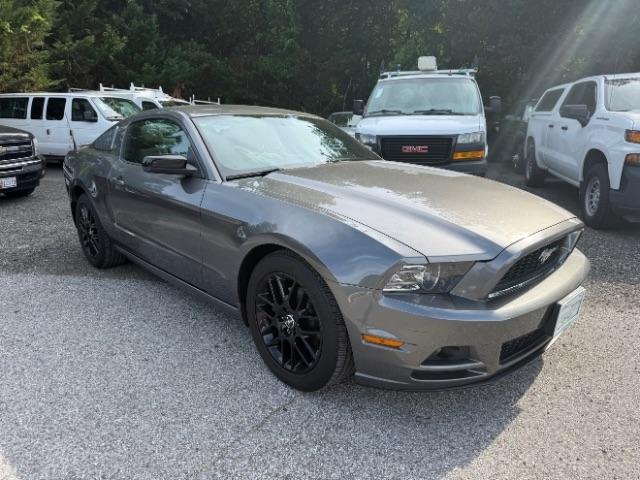 Ford Mustang V6 Coupe 2014