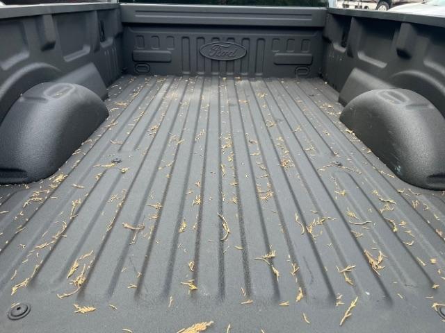 Ford F-150 XL 8-ft. Bed 2WD 2022