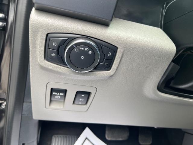 Ford F-150 XLT SuperCrew 6.5-ft. Bed 4WD 2019