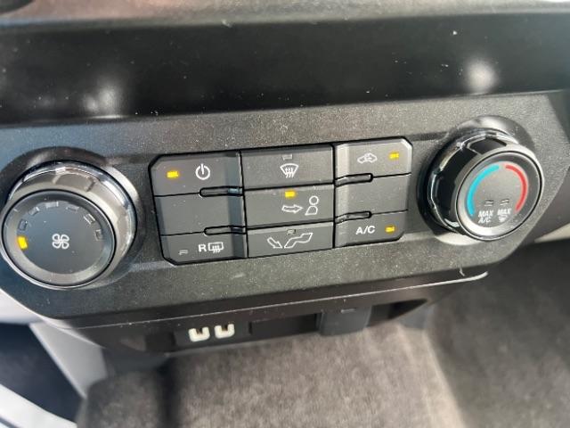 Ford F-150 XLT SuperCrew 6.5-ft. Bed 4WD 2019