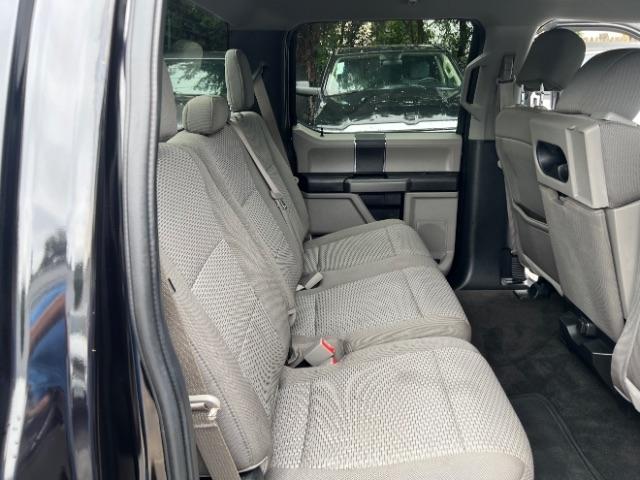 Ford F-150 XLT SuperCrew 6.5-ft. Bed 4WD 2019
