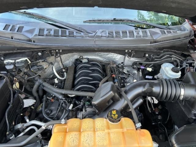 Ford F-150 XLT SuperCrew 5.5-ft. Bed 4WD 2016