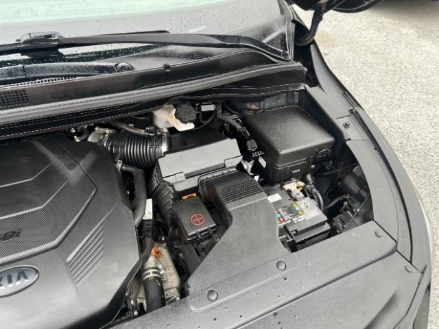 Kia Sedona LX 2020