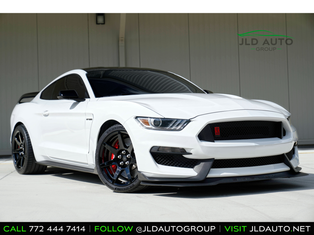 2019 Ford Shelby GT350R Shelby GT350R