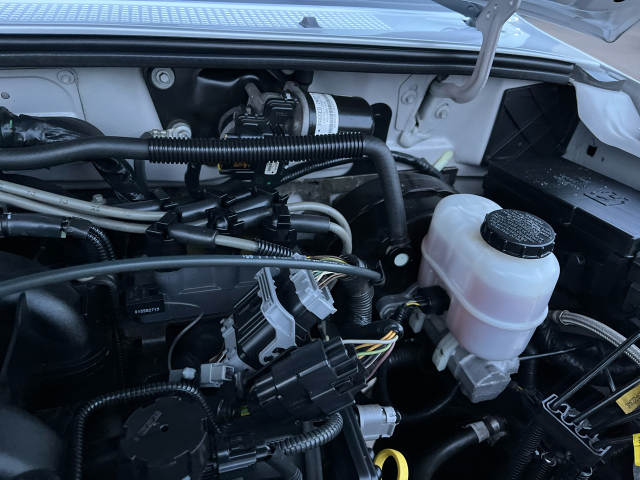 Ford Ranger Supercab 126" WB XLT 4WD 2011