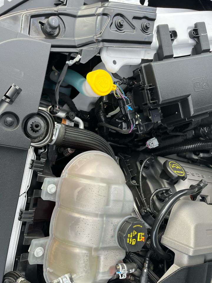 Ford Mustang GT convertible 2016