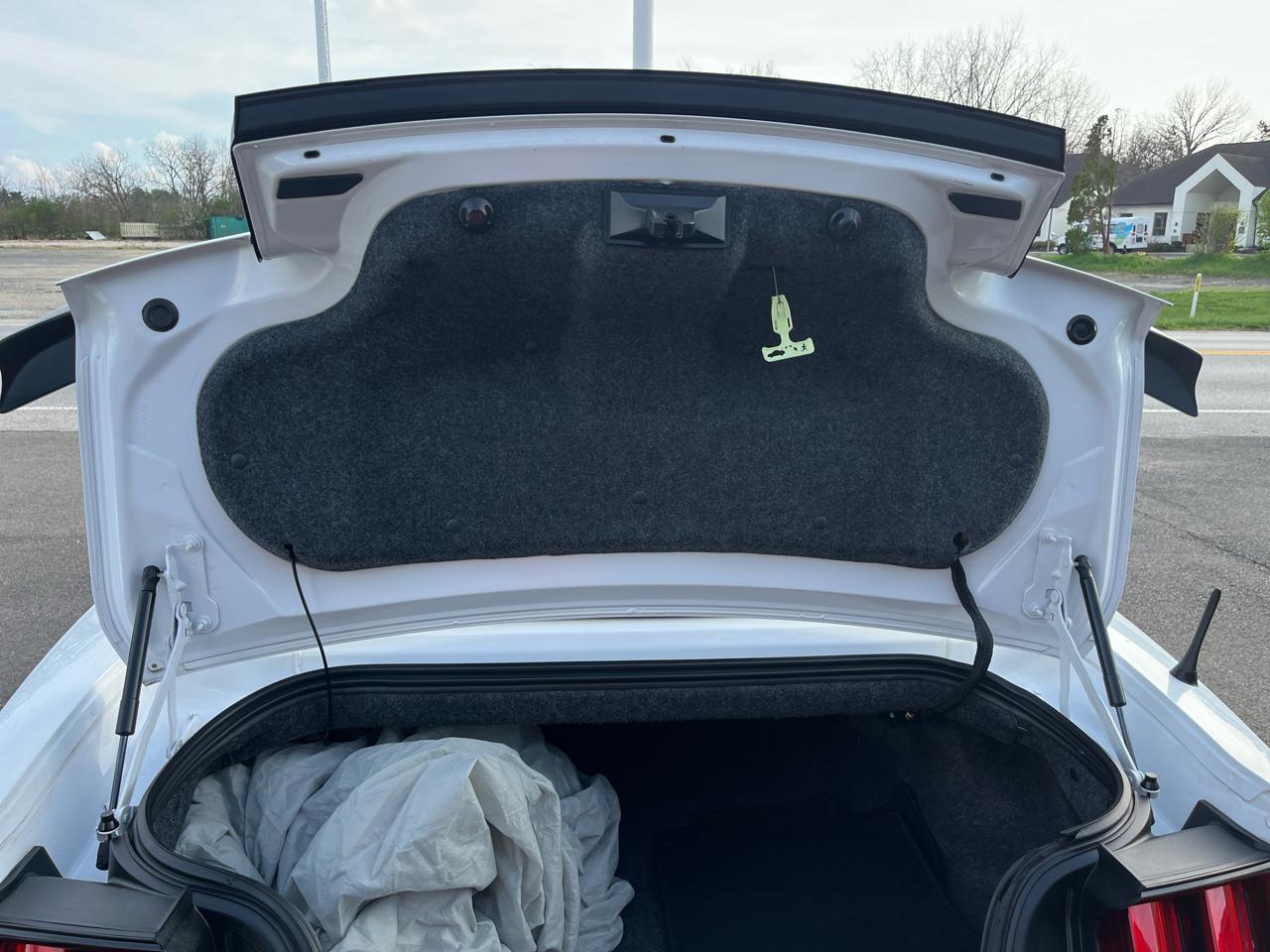 Ford Mustang EcoBoost Premium Convertible 2016