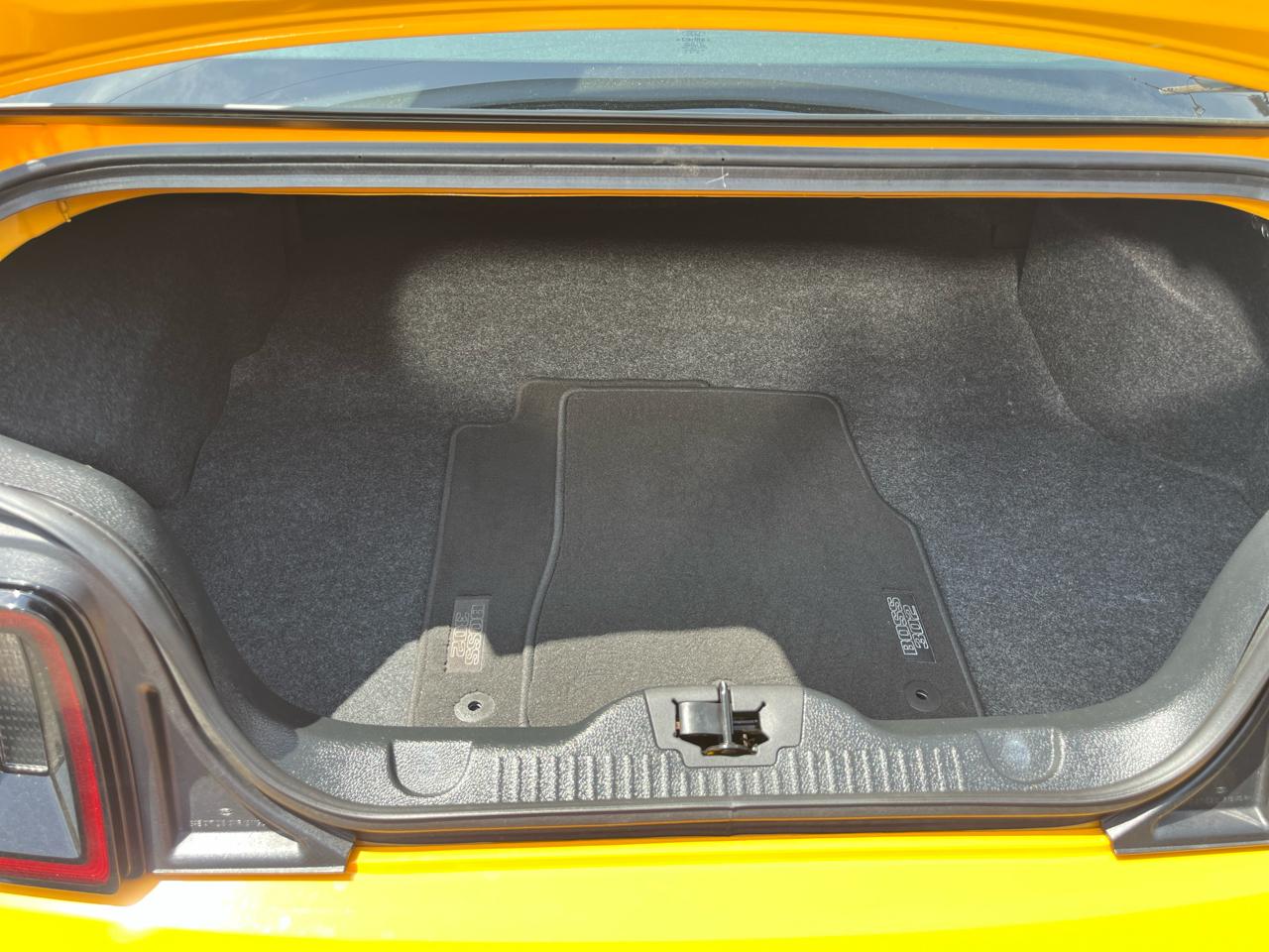 Ford Mustang  2013