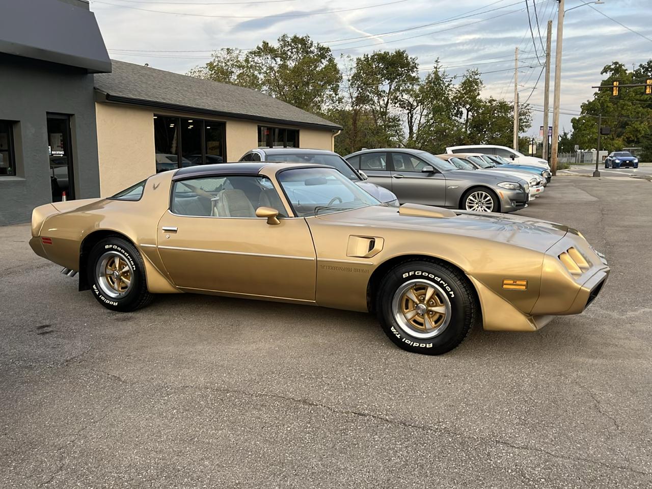 Pontiac Trans Am Coupe 1979