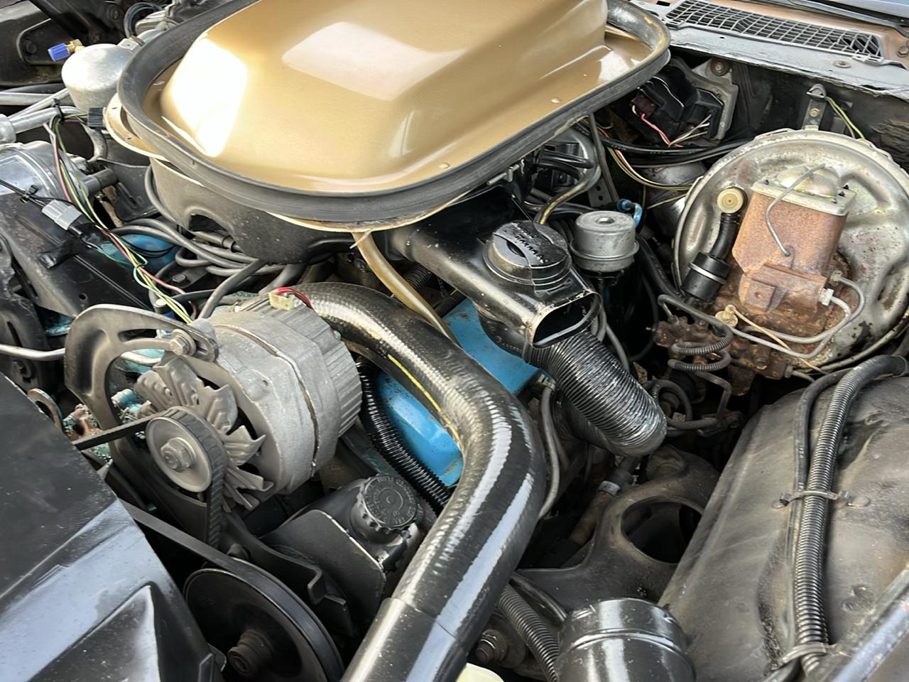 Pontiac Trans Am Coupe 1979