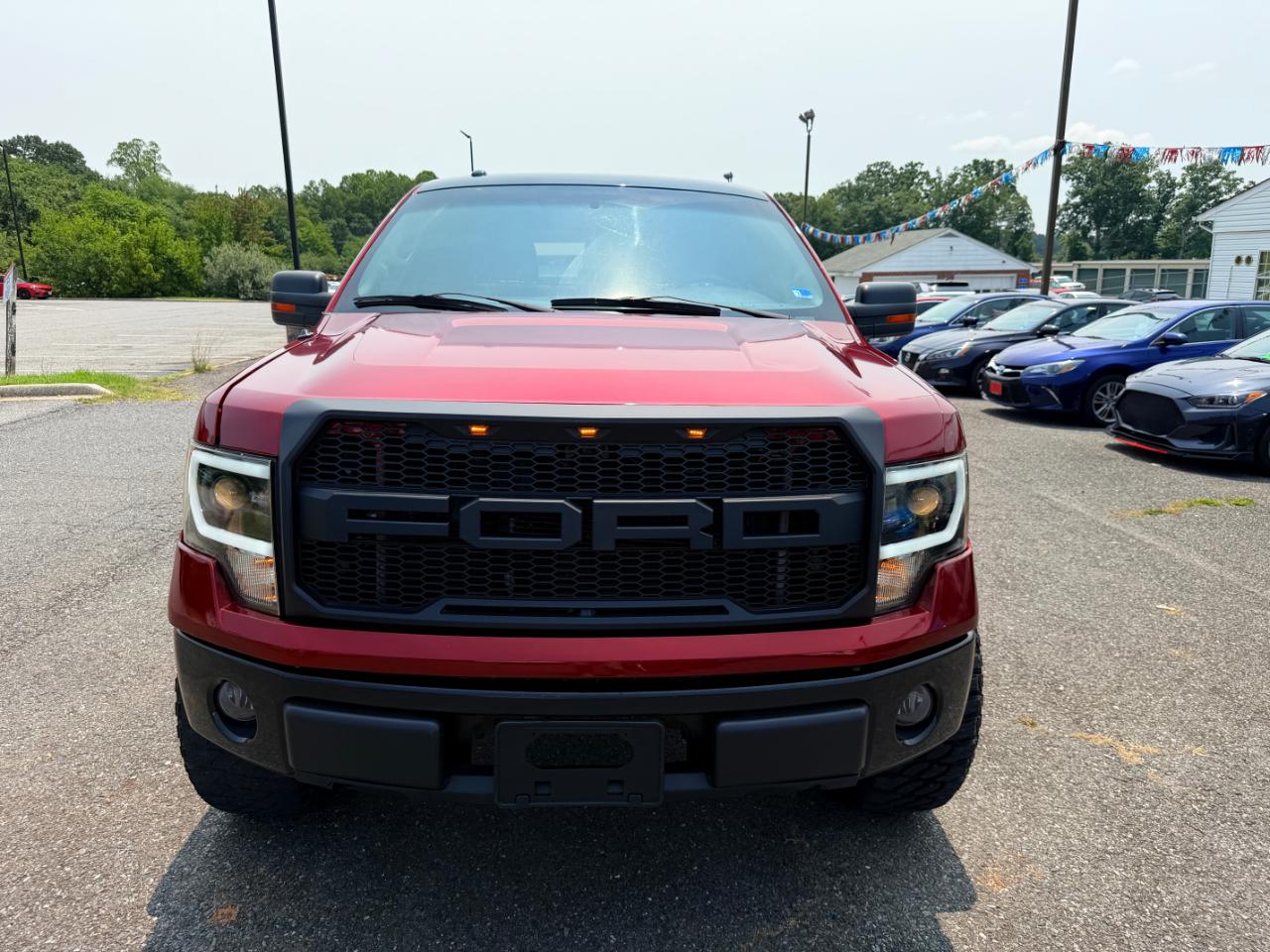 Ford F-150 4WD SuperCrew 145" Platinum 2013