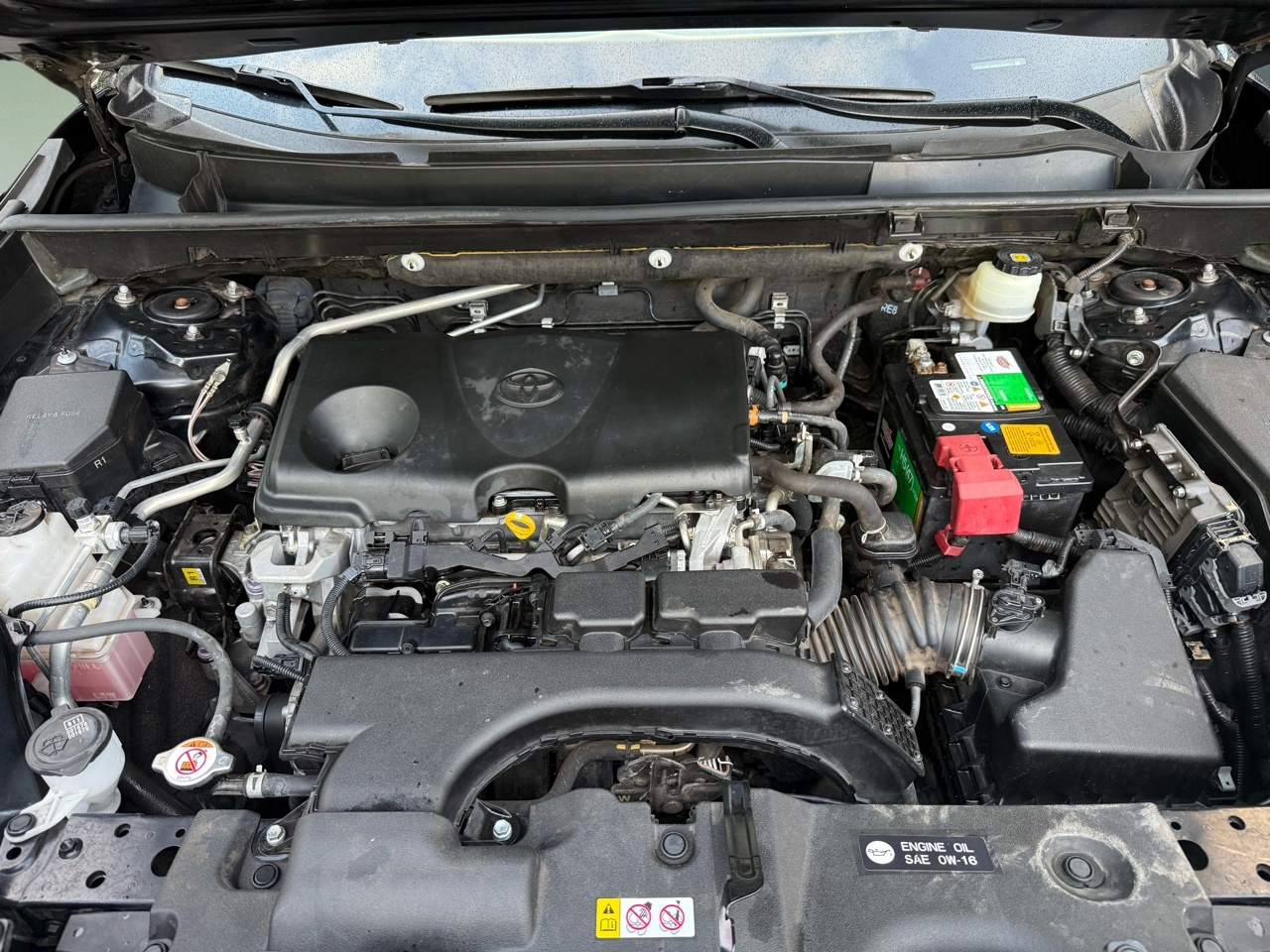 Toyota RAV4 LE FWD (Natl) 2019